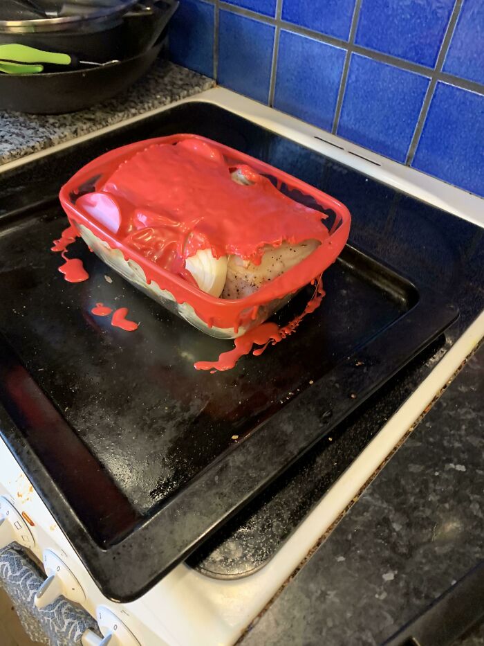 This Is How Being Dumb Feels, I’ve Never Done Something Stupider Than This, I Could’ve Burnt My Whole House By Just Putting A Plastic Cover Over My Ham Into My Oven