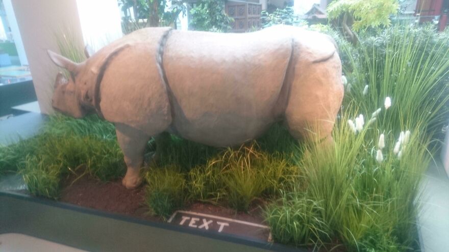 Not My Job To Write An Informative Sign In This Museum