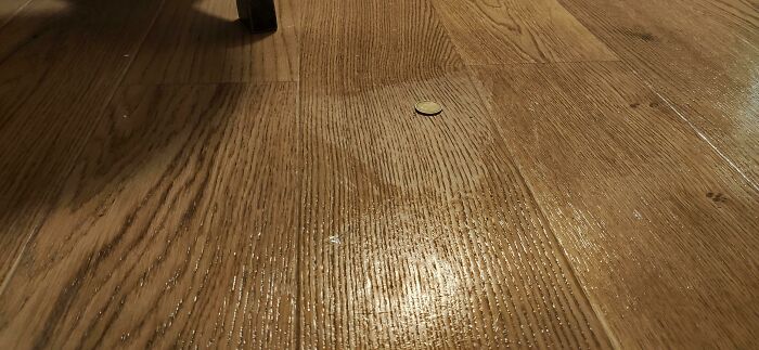 Mi novia limpió el piso