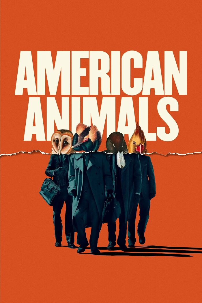  American Animals
