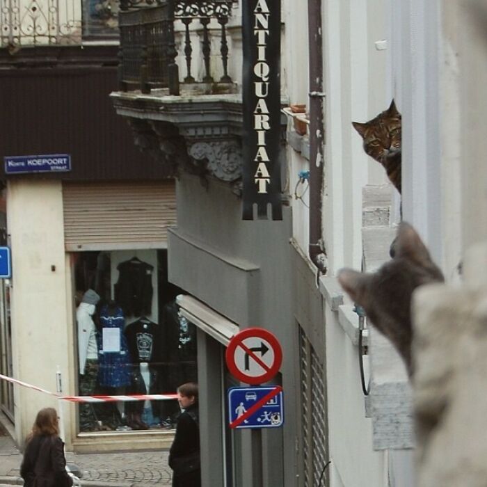 The Definition Of Sworn Enemies In One Picture