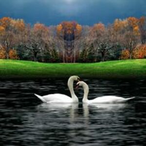 christine_wright avatar