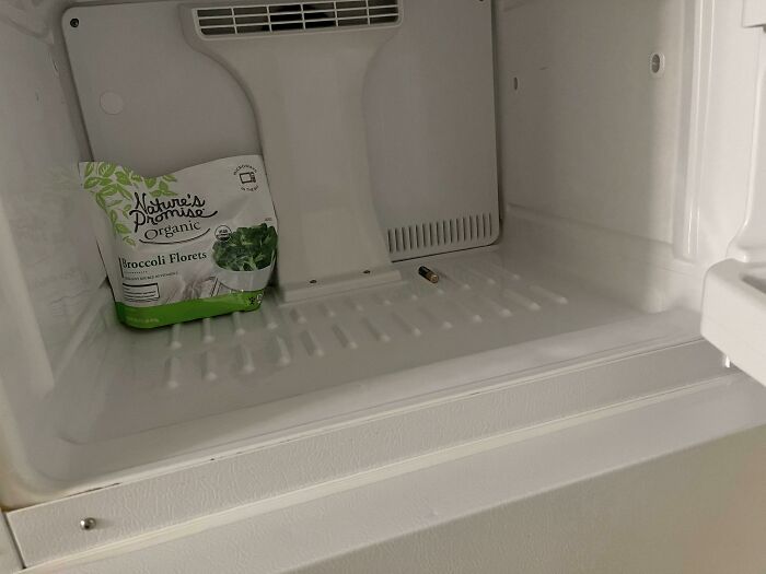 I Was Babysitting My Cousin While Her Dad Was Away On Business. He Told Me Dinner Is In The Freezer. Yum, Battery And Broccoli. Just Like Mom Used To Make