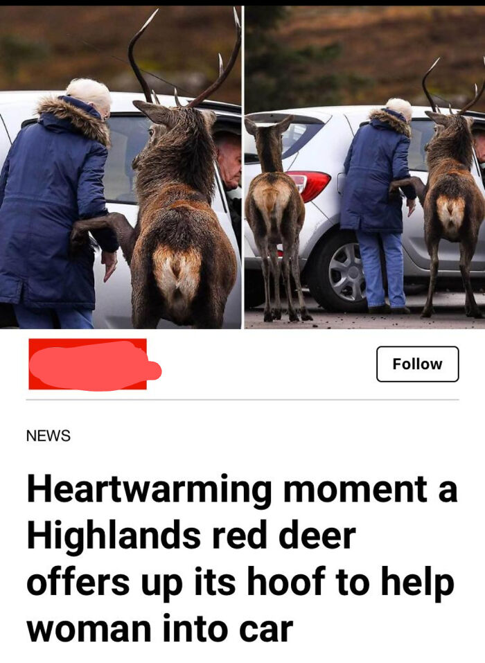 "In Ye Get, Carol. Get Yersel Up The Road Safe Now. Mind And Give Me Two Rings When You And Billy Are Back Home