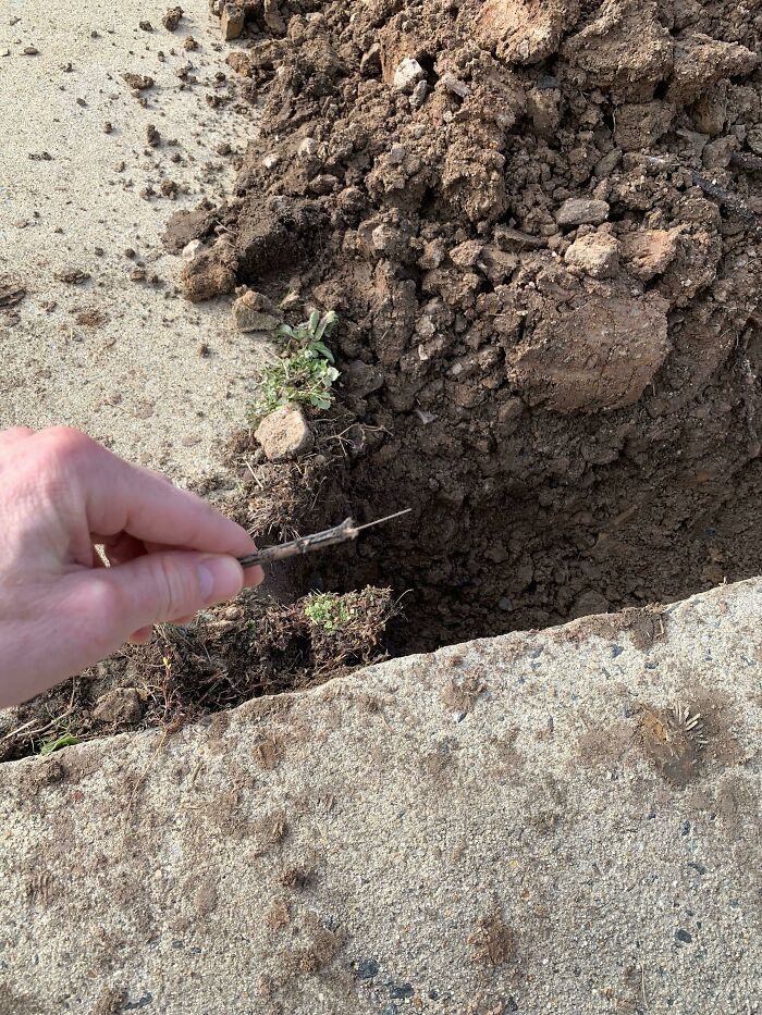 The Guys Digging For Google Fiber Just Cut My AT&T Fiber Line. And I Work From Home. Great