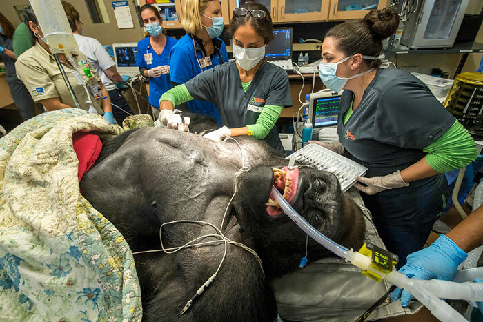 This One Does It For Me