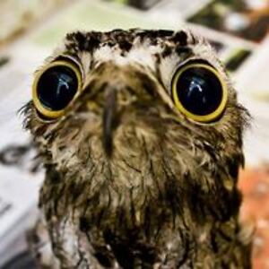 ciaransmith007 avatar