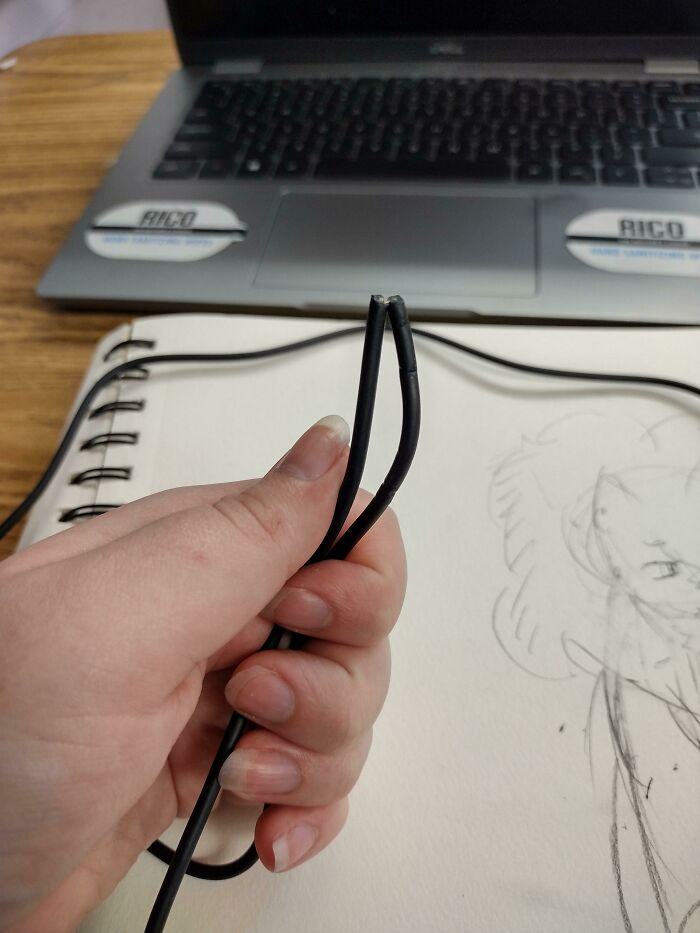 Mom's Cat Chewed Through My Headphones For School. Bought A New Pair And She Chewed Those Within A Day. Mom Is Probably Gonna Blame It On Me But I'm Angry