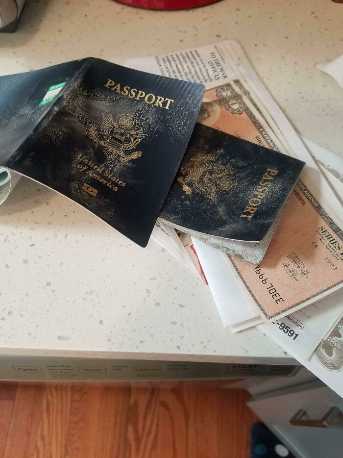 Opened Our Lockbox Today To Find Mold Had Been Happily Eating Our Passports And Marriage Certificate