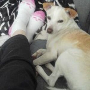 mariamandjik295 avatar