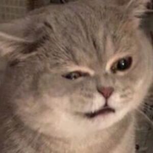 akniyet_planteater avatar