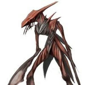 nic_collins_bio avatar