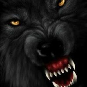 morgothwolf avatar
