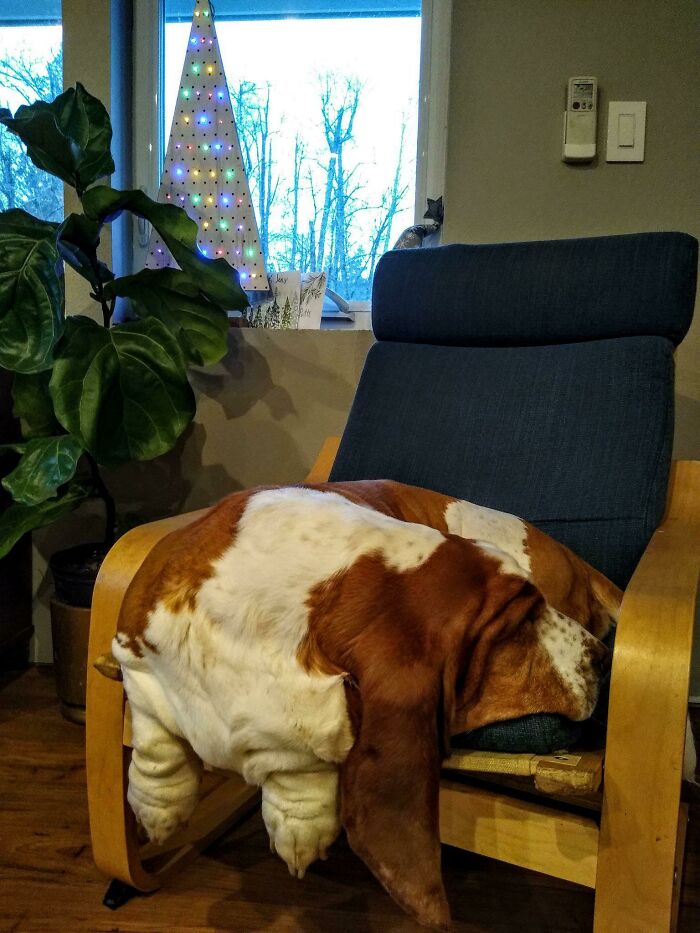 Merry Christmas - Bruce