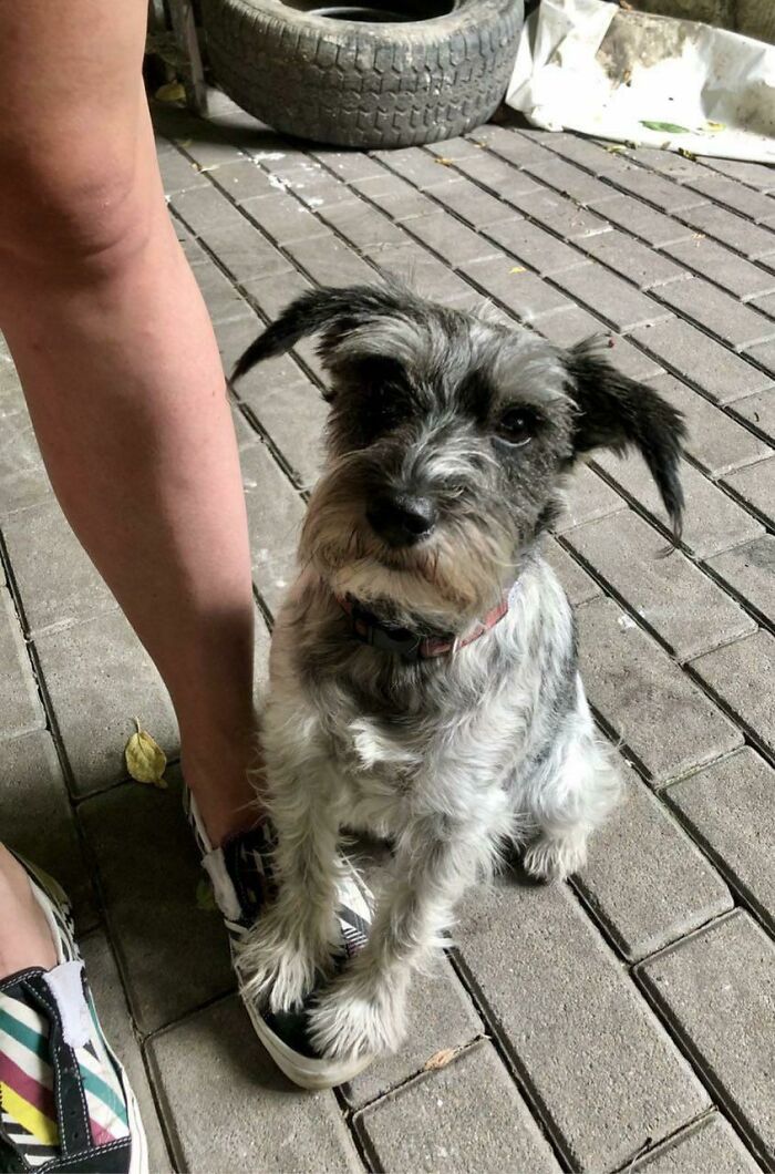 When Nervous She Usually Puts A Paw On My Foot For Support. Here She Was Formally Introduced To Someone New