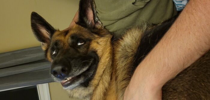 Le encantan los mimos