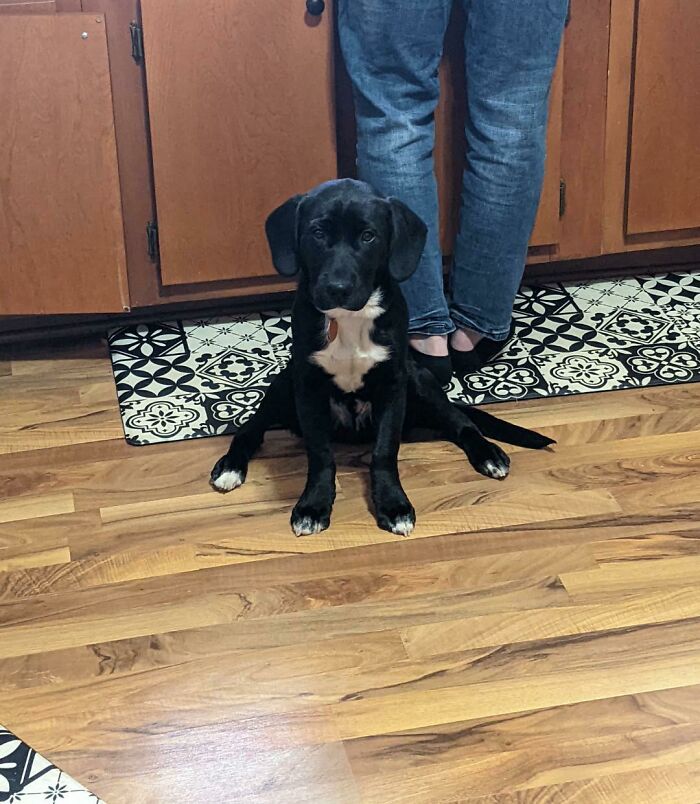 Where He Fits, He Sits. Weirdly