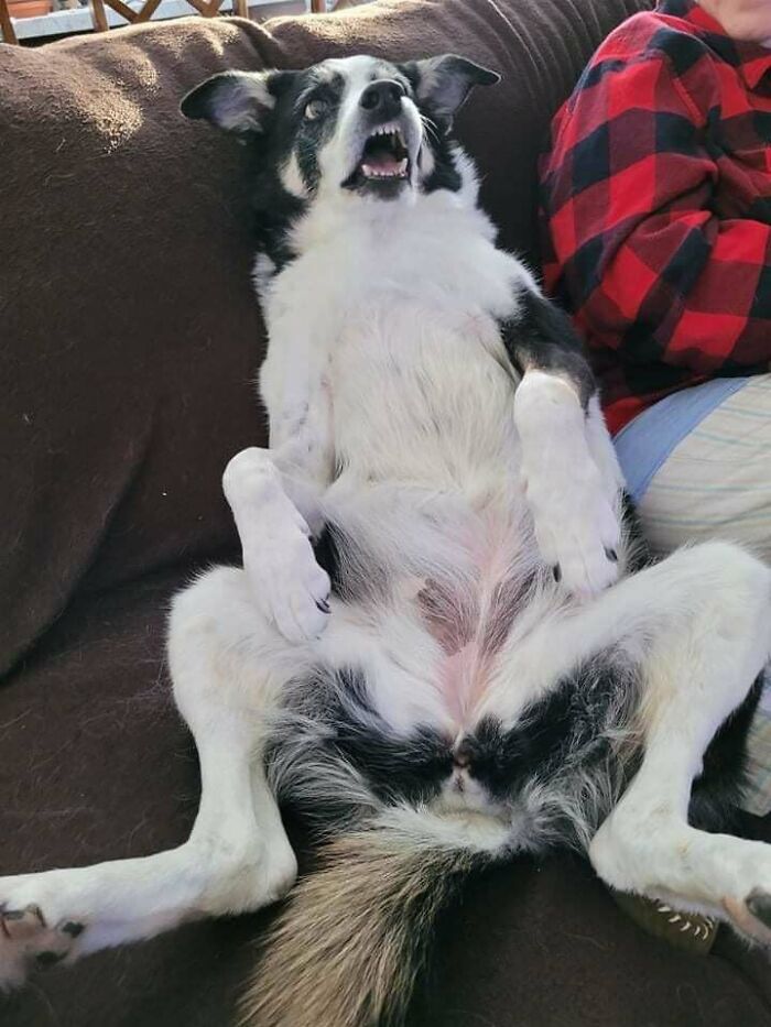 My Friends Little Weirdo, Penny