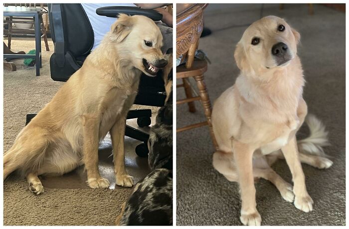 My Little Sourpatch Kid