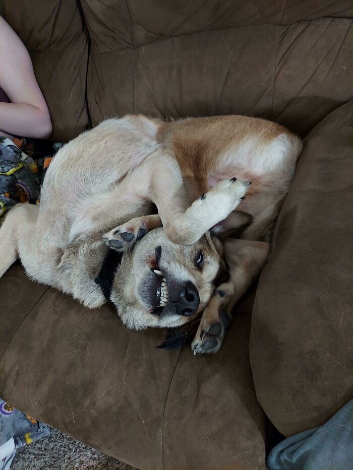 Guys. Send Help. He's Super Broken