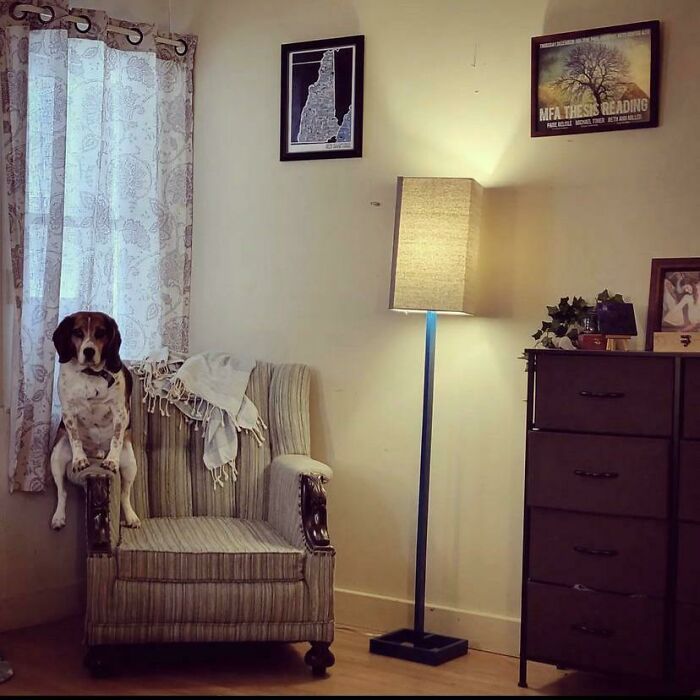 Está un poco confundido pero tiene buen carácter