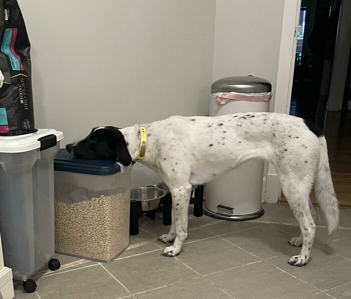 Los padres de Gertie llegaron 20 minutos tarde a servir la cena