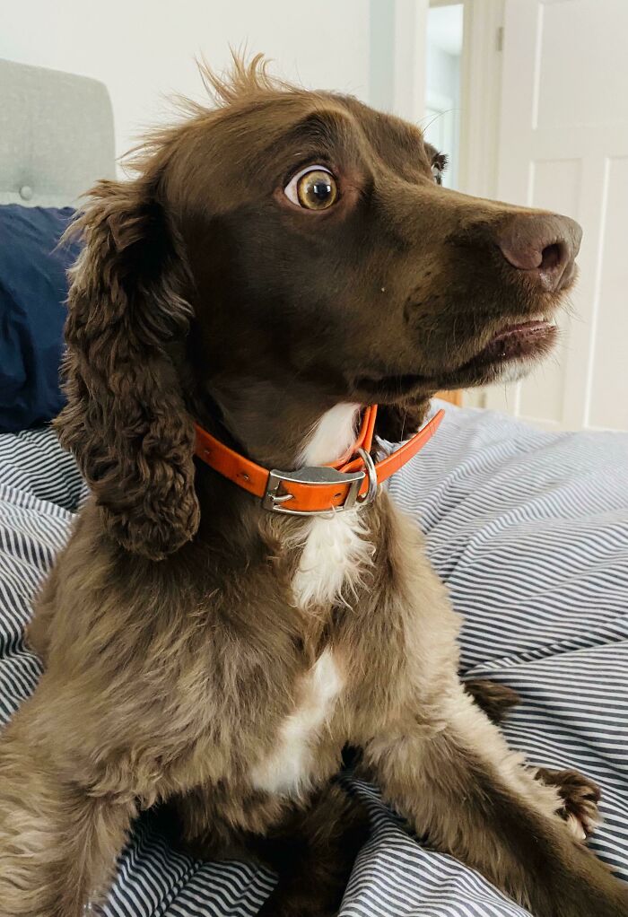 I Told Her About The Snow Coming