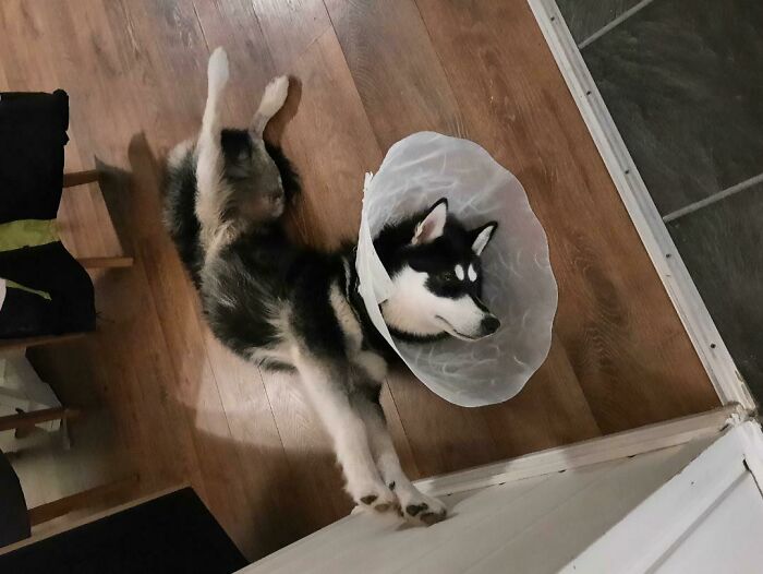 A Perfectly Normal Chill Position For Mummi