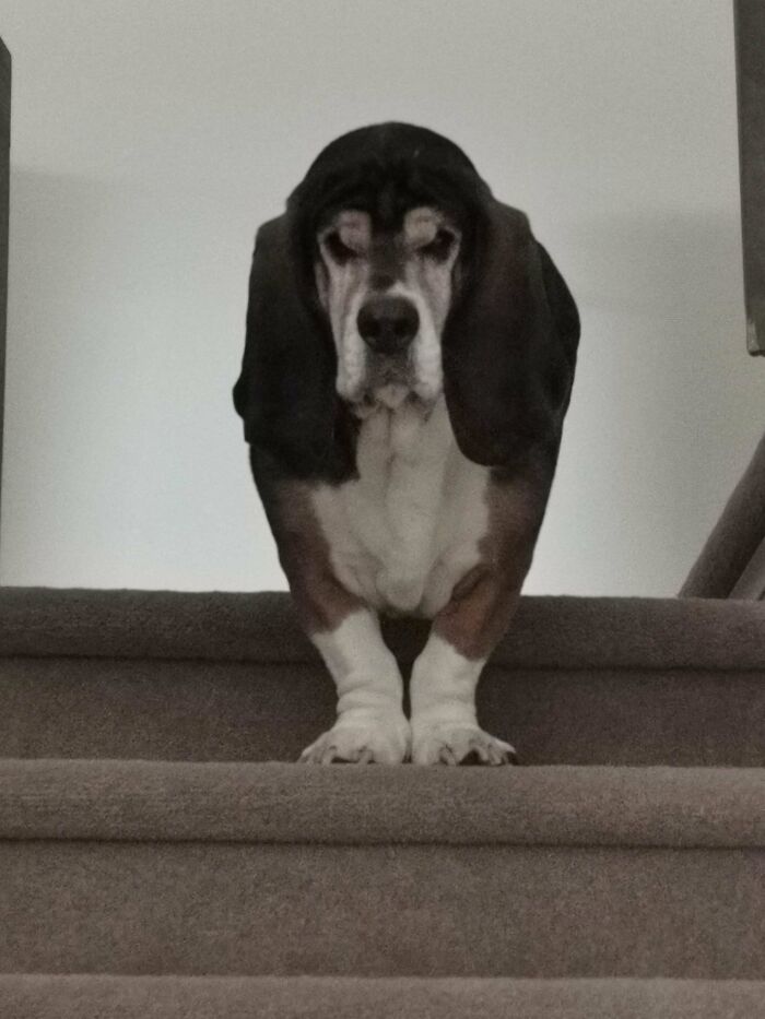 Ellie es muy crítica y generalmente desaprueba a todo el mundo