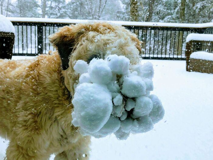 Looking To Relocate Someplace Warmer