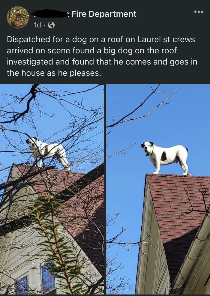 My Local Fire Department Just Posted This