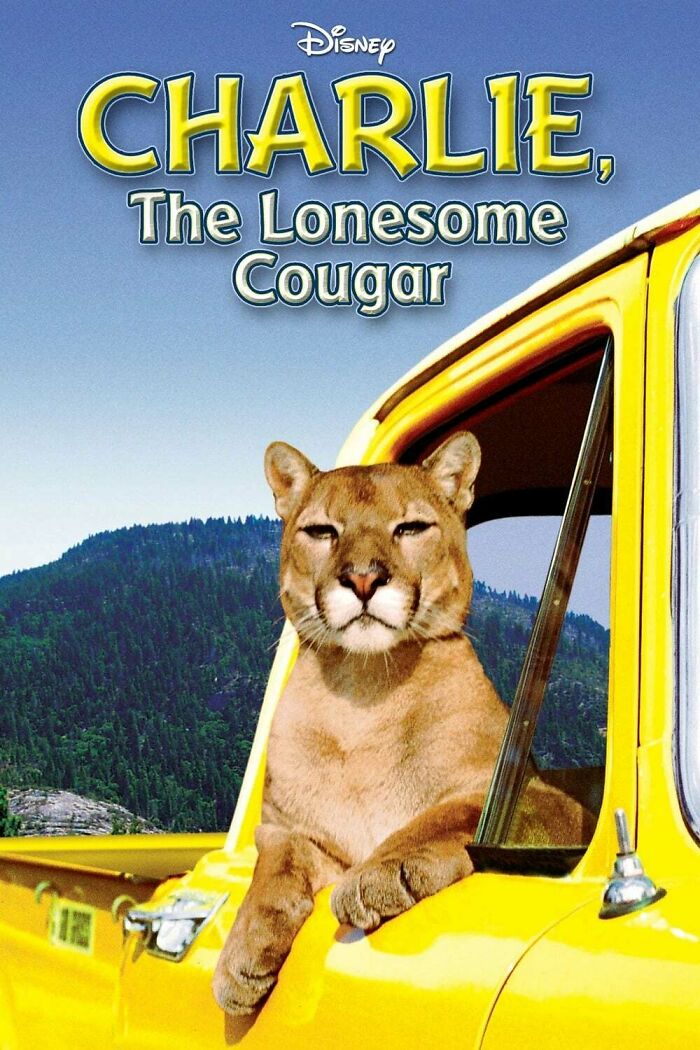 Charlie, The Lonesome Cougar