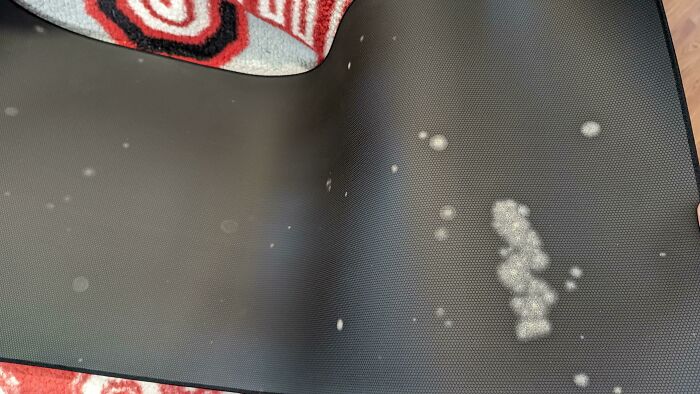 My Razer Penicillium Came In The Mail Today!