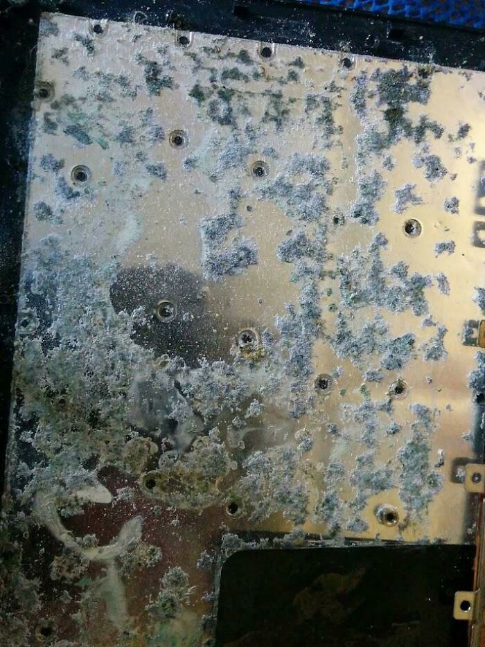 Laptop Keyboard Is Not Working. Well There's Your Problem, Your Keyboard Is Creating New Antibiotics