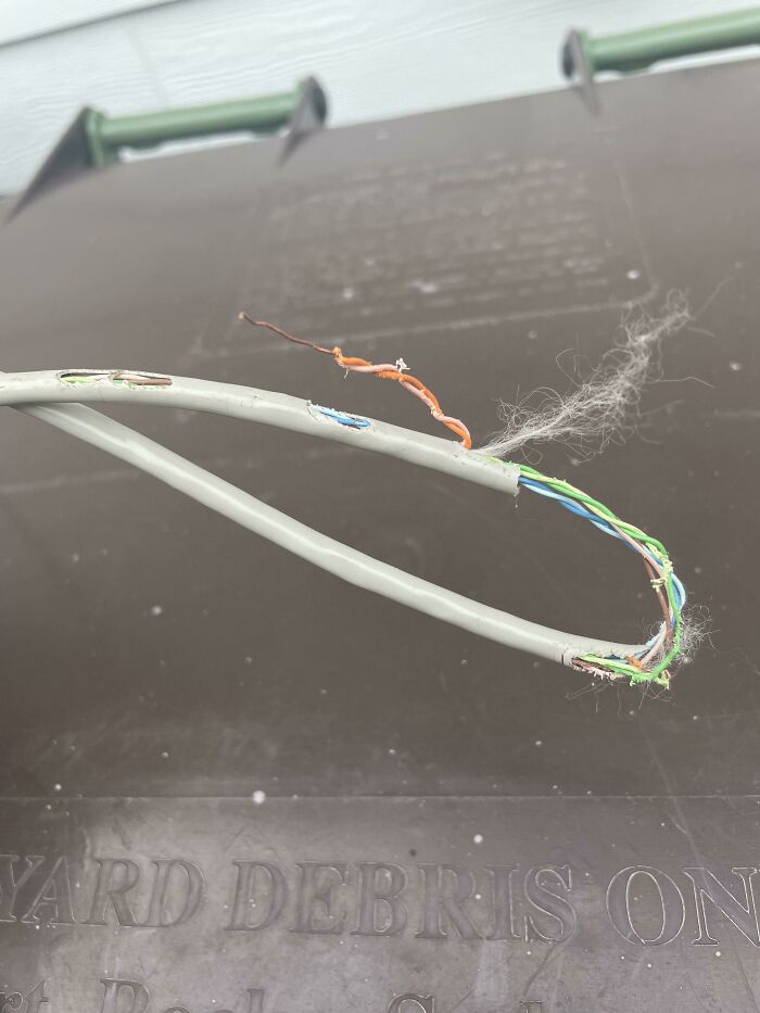 Figured Out Why Our Internet Went Out On Christmas Eve