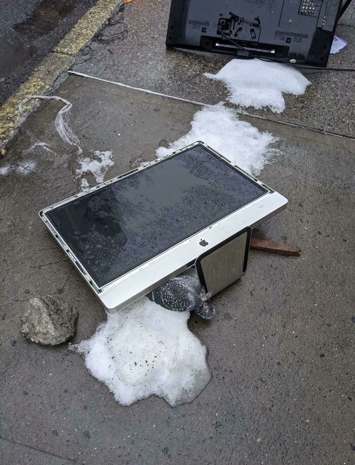 This Is How Newton Discovered Gravity