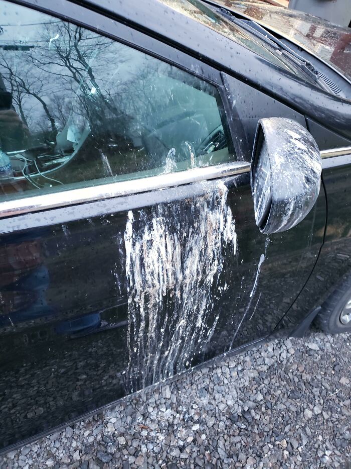 This Happened In Less Than 24 Hours. No Trees Or Power Lines Around, Just Why?