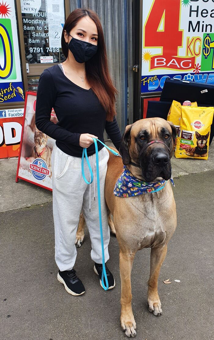 Esta unidad de un perro que conocí en la tienda de perros
