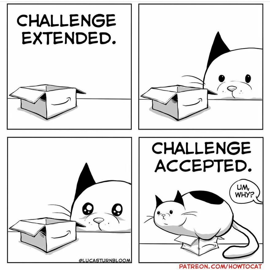 New Hilarious Comics Show What It’s Like To Live With A Cat