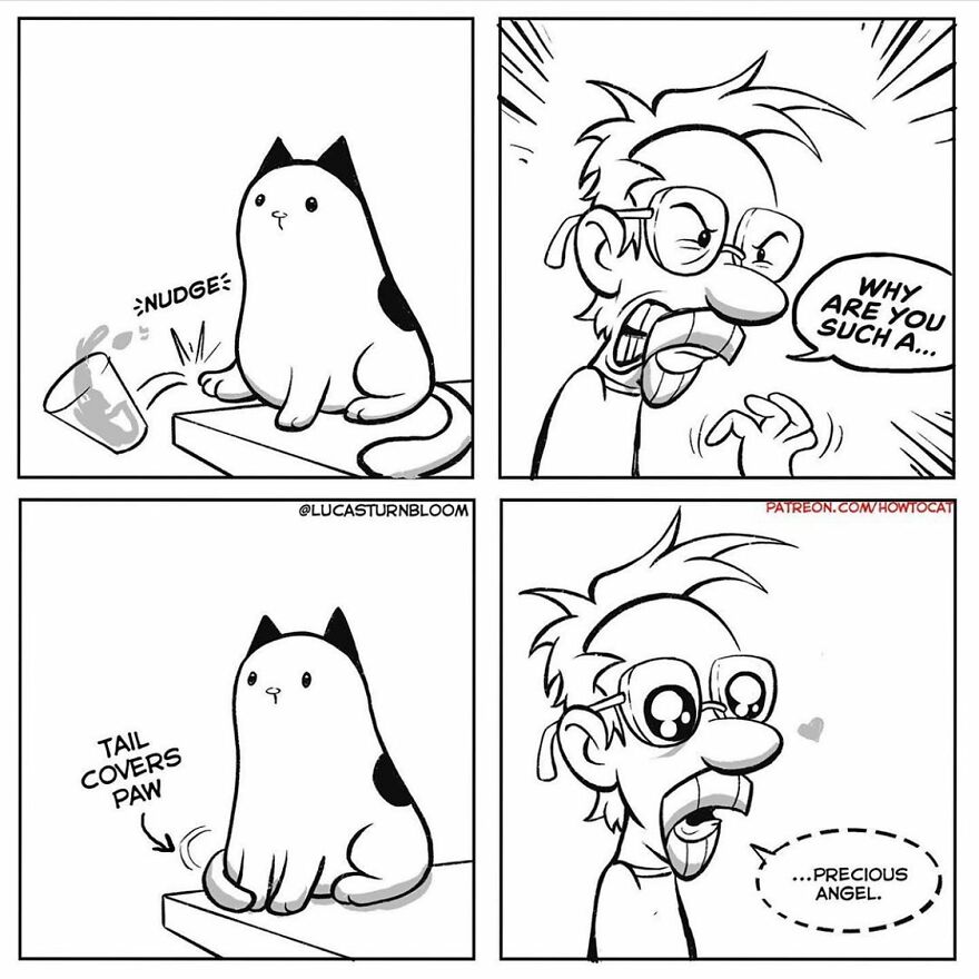 New Hilarious Comics Show What It’s Like To Live With A Cat