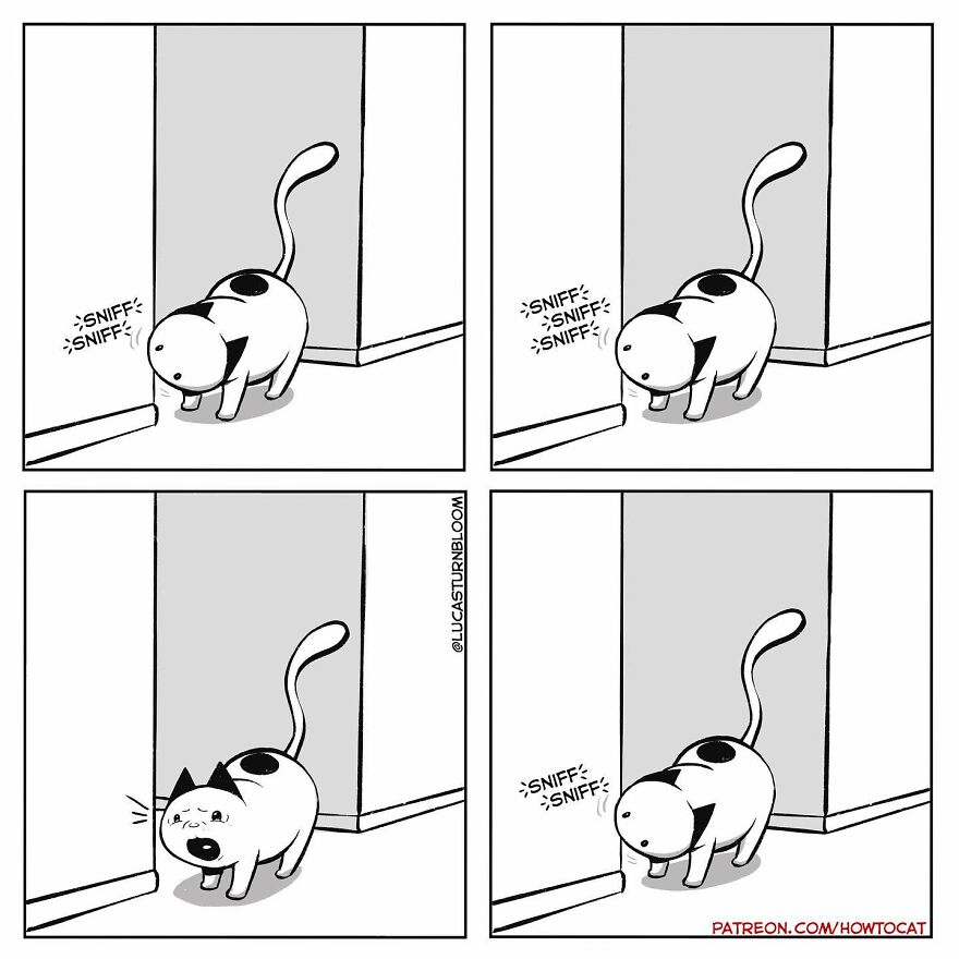 New Hilarious Comics Show What It’s Like To Live With A Cat