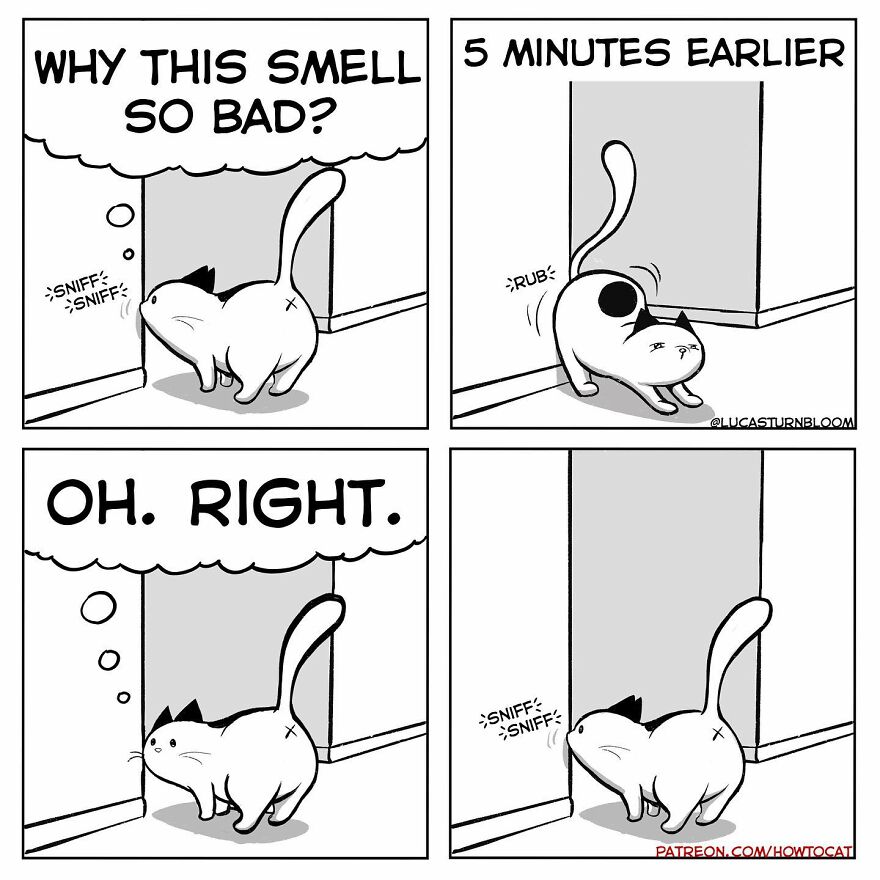 New Hilarious Comics Show What It’s Like To Live With A Cat