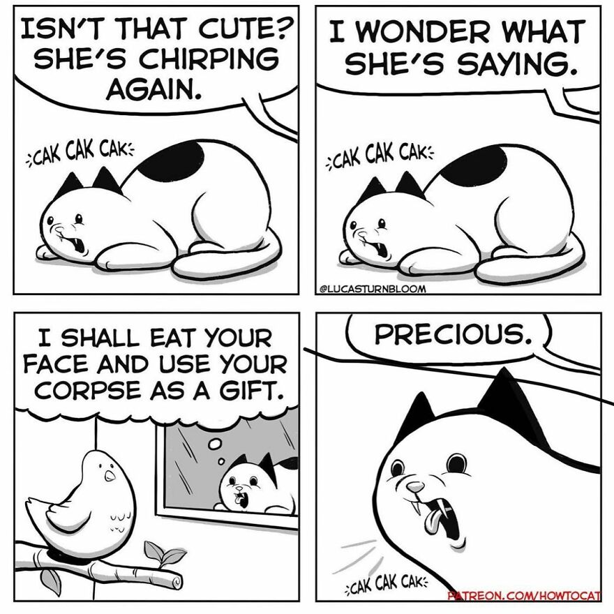 New Hilarious Comics Show What It’s Like To Live With A Cat