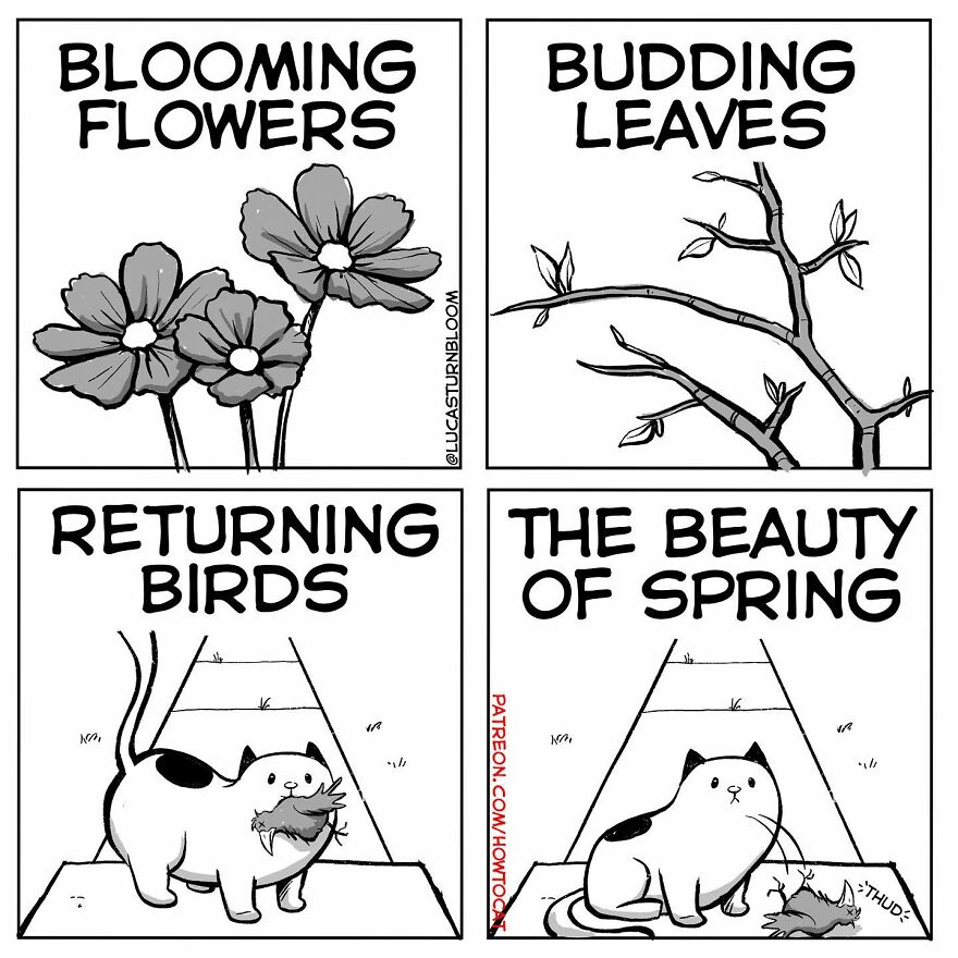 New Hilarious Comics Show What It’s Like To Live With A Cat