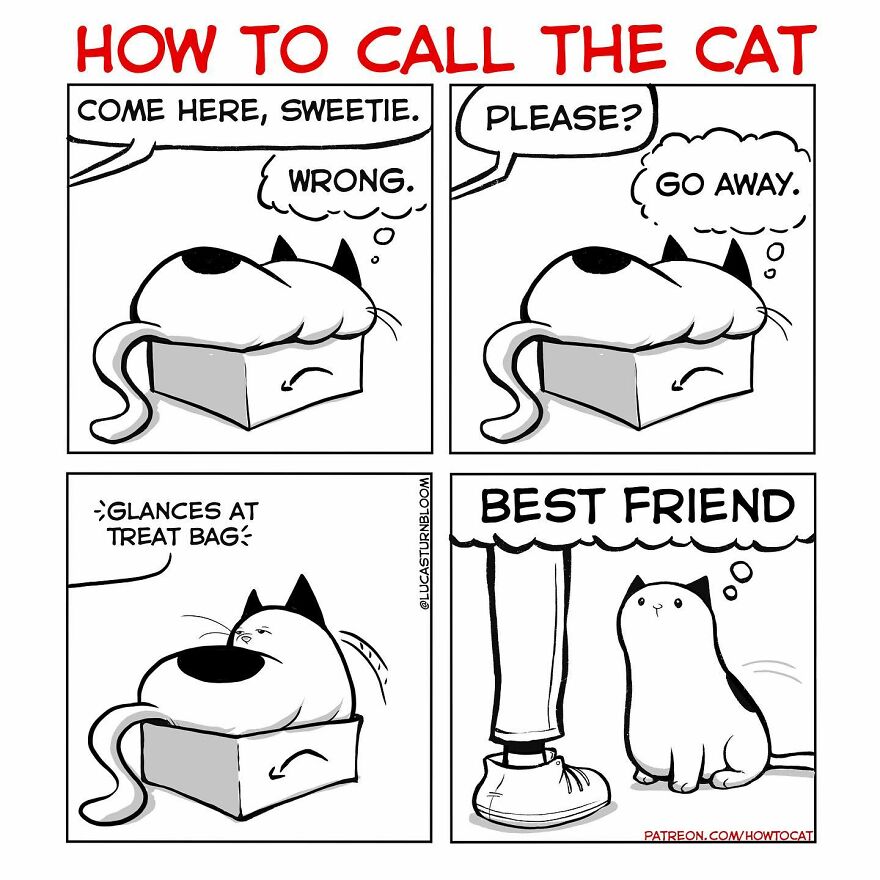 New Hilarious Comics Show What It’s Like To Live With A Cat