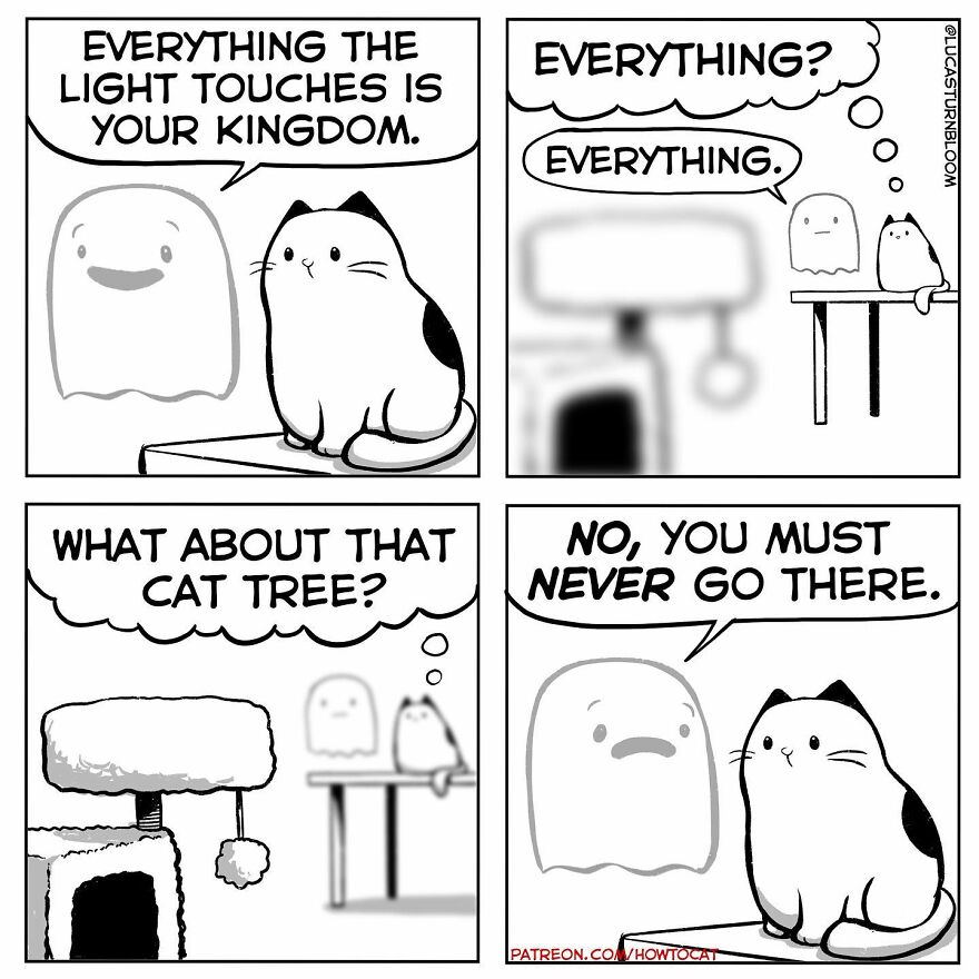 New Hilarious Comics Show What It’s Like To Live With A Cat