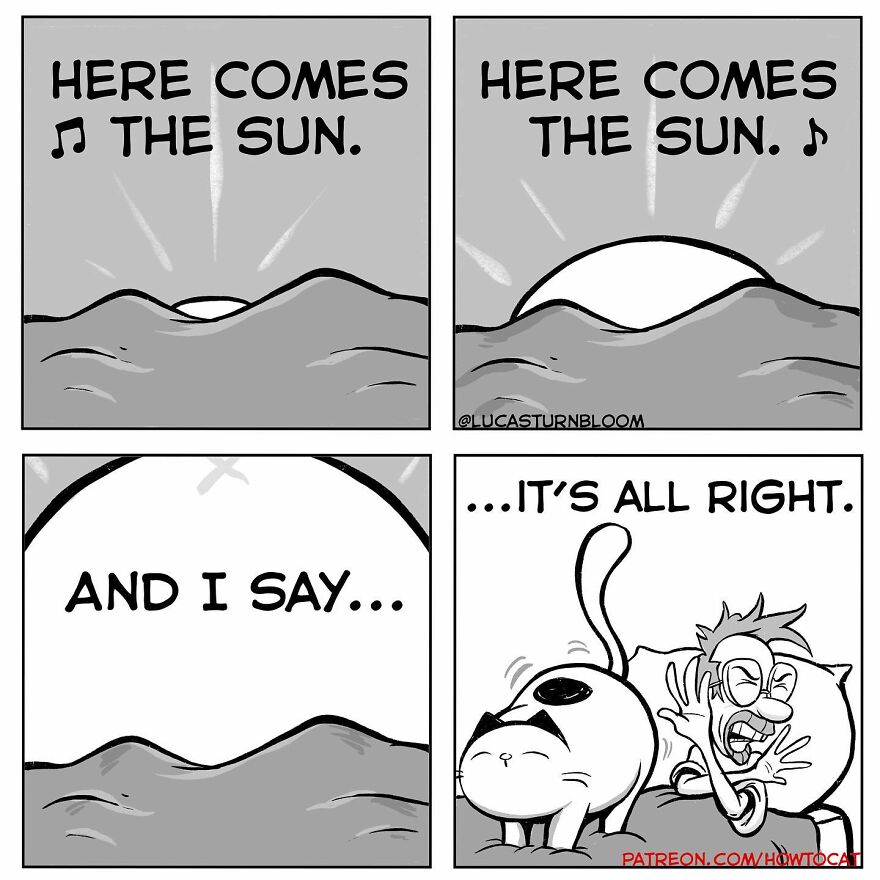 New Hilarious Comics Show What It’s Like To Live With A Cat