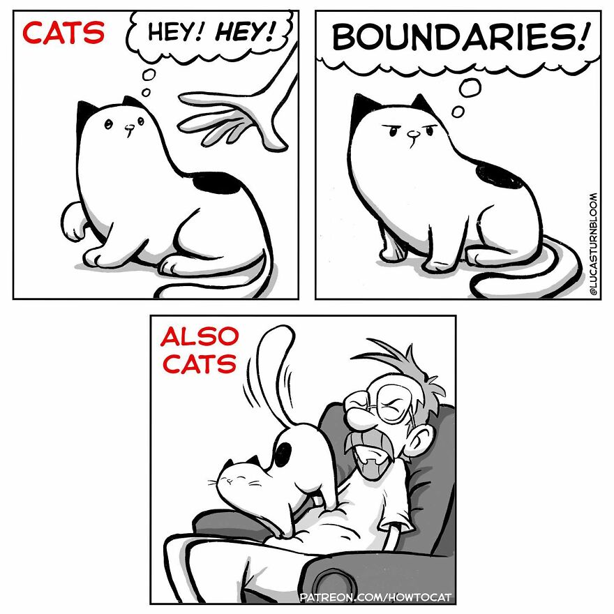 New Hilarious Comics Show What It’s Like To Live With A Cat