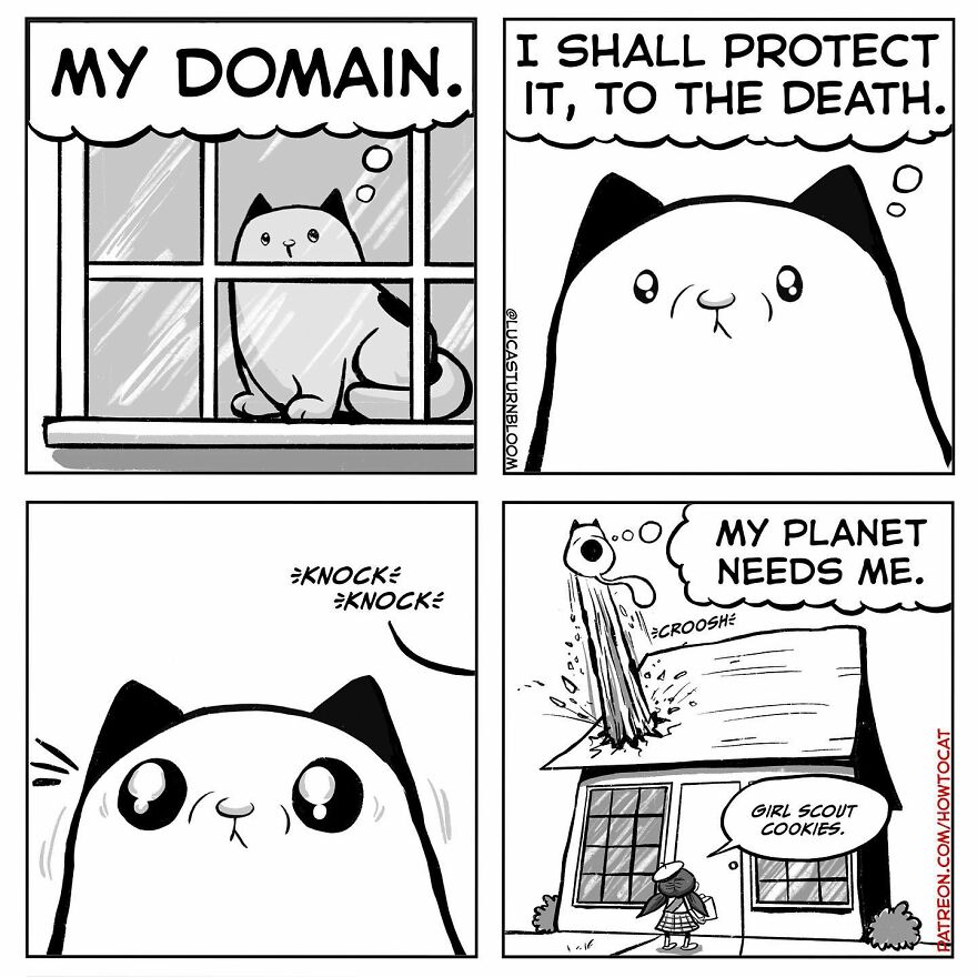 New Hilarious Comics Show What It’s Like To Live With A Cat