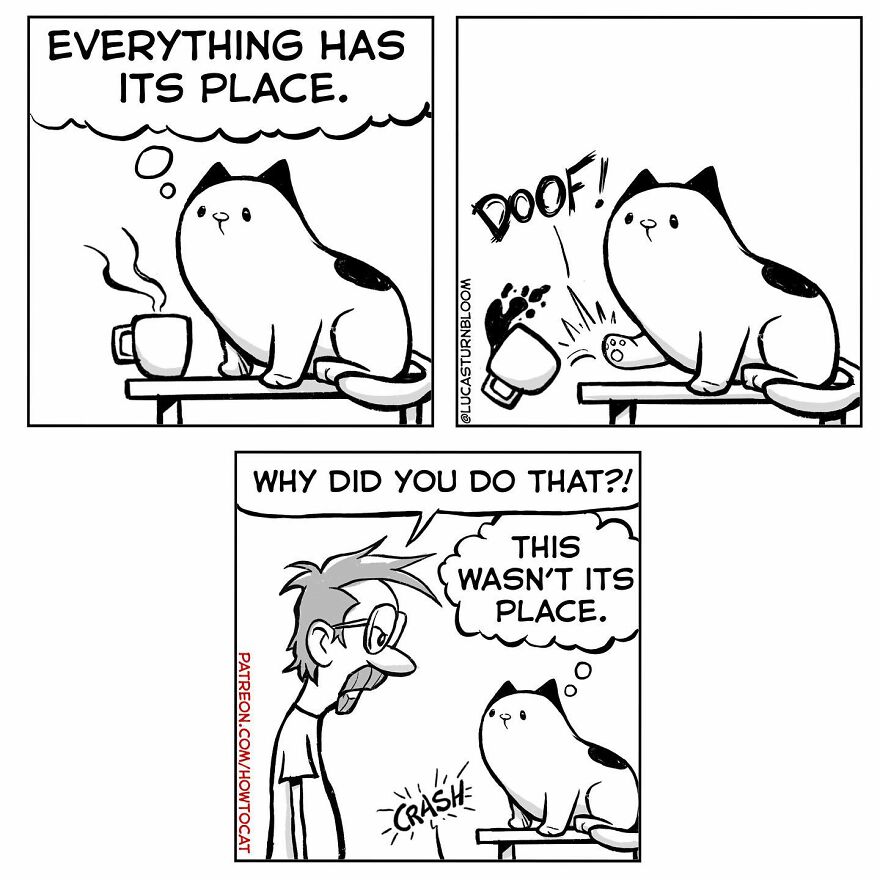 New Hilarious Comics Show What It’s Like To Live With A Cat